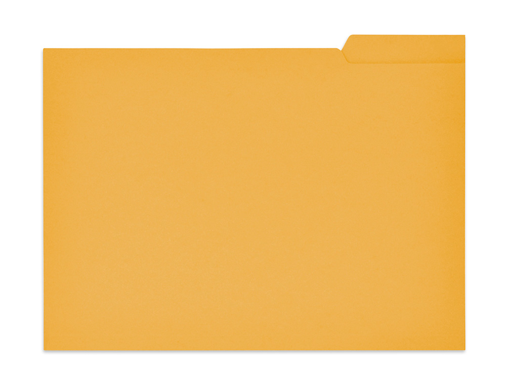 SUBCARPETA CARTULINA GIO FOLIO PESTAA DERECHA 250 G/M2 AMARILLO